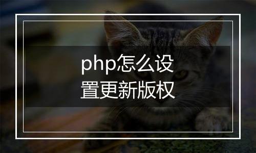 php怎么设置更新版权