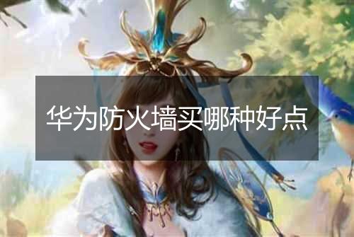 华为防火墙买哪种好点