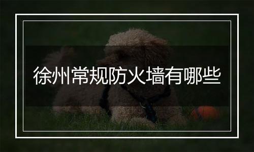 徐州常规防火墙有哪些