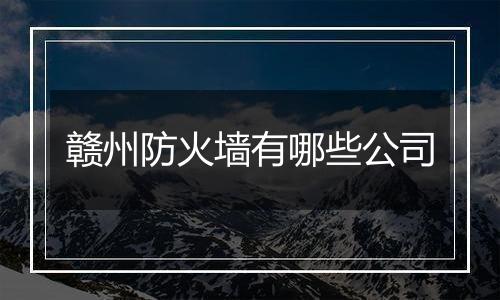赣州防火墙有哪些公司