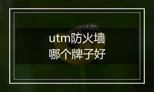 utm防火墙哪个牌子好