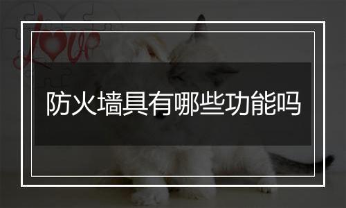 防火墙具有哪些功能吗