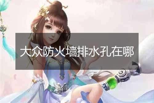 大众防火墙排水孔在哪