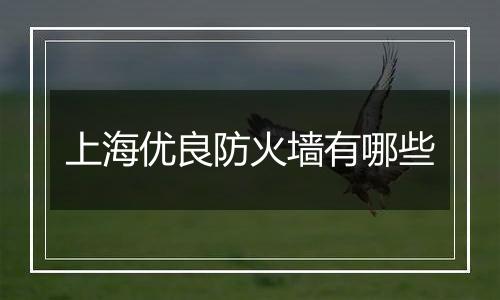 上海优良防火墙有哪些