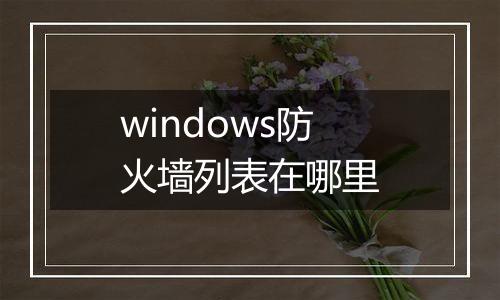 windows防火墙列表在哪里