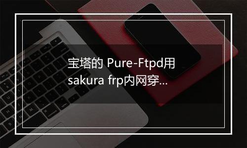 宝塔的 Pure-Ftpd用 sakura frp内网穿透不能用