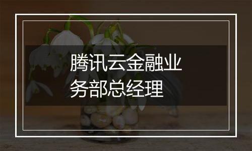腾讯云金融业务部总经理