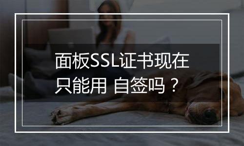 面板SSL证书现在只能用 自签吗?
