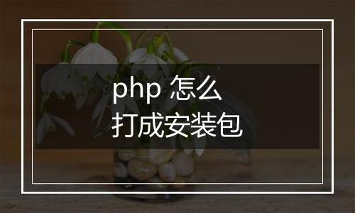 php 怎么打成安装包