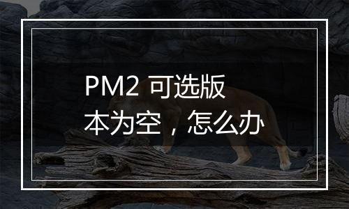 PM2 可选版本为空,怎么办