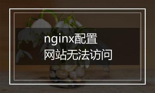 nginx配置网站无法访问