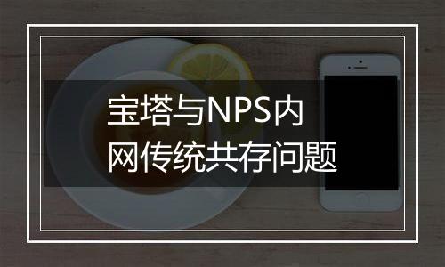 宝塔与NPS内网传统共存问题