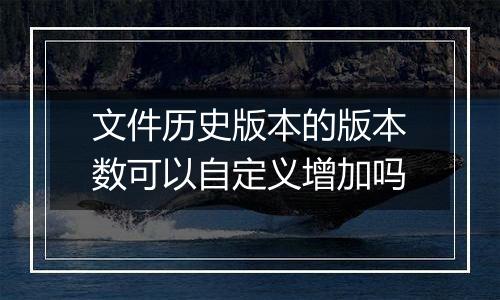 文件历史版本的版本数可以自定义增加吗