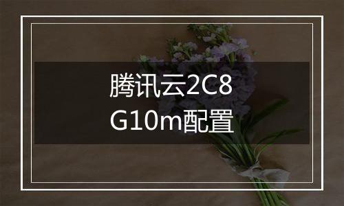 腾讯云2C8G10m配置