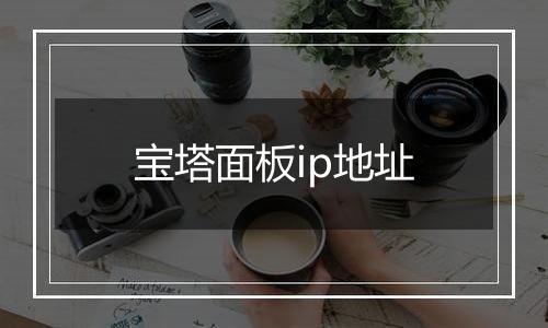 宝塔面板ip地址