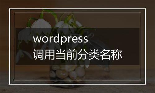 wordpress调用当前分类名称