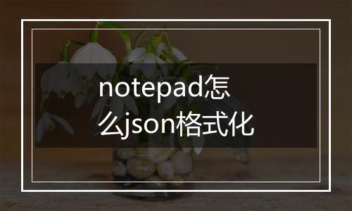 notepad怎么json格式化