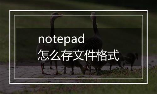notepad怎么存文件格式