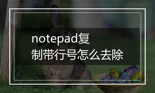 notepad复制带行号怎么去除