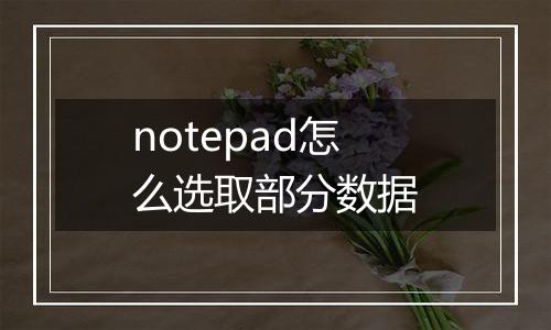 notepad怎么选取部分数据