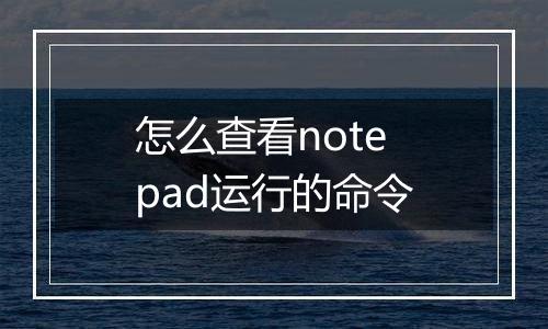 怎么查看notepad运行的命令