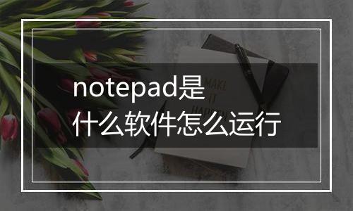 notepad是什么软件怎么运行