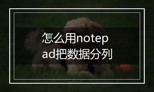 怎么用notepad把数据分列