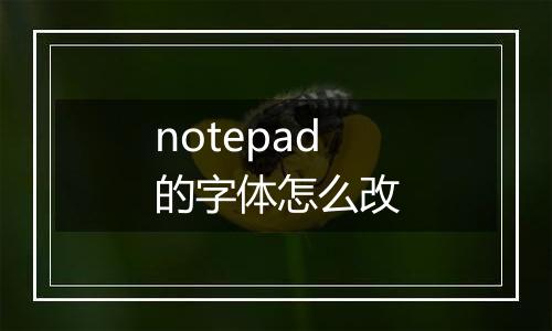 notepad的字体怎么改