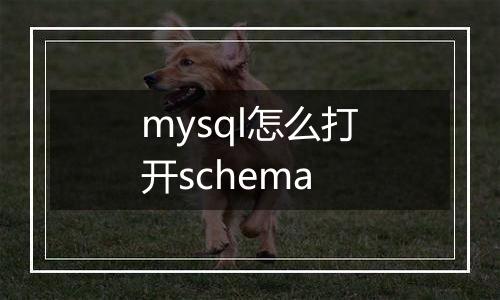 mysql怎么打开schema