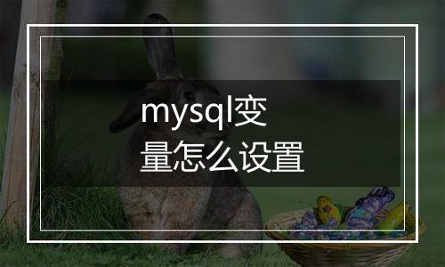 mysql变量怎么设置