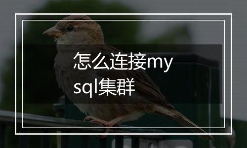 怎么连接mysql集群