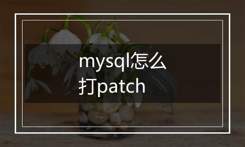 mysql怎么打patch