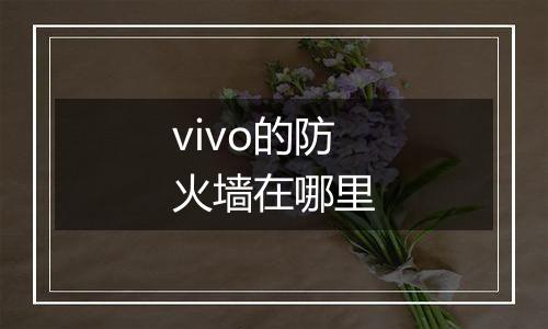 vivo的防火墙在哪里