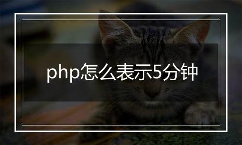 php怎么表示5分钟