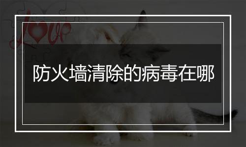 防火墙清除的病毒在哪