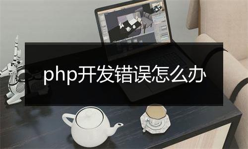 php开发错误怎么办