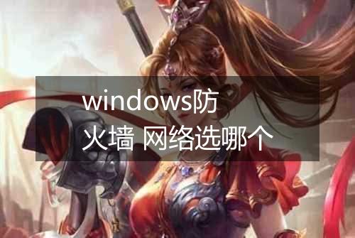windows防火墙 网络选哪个