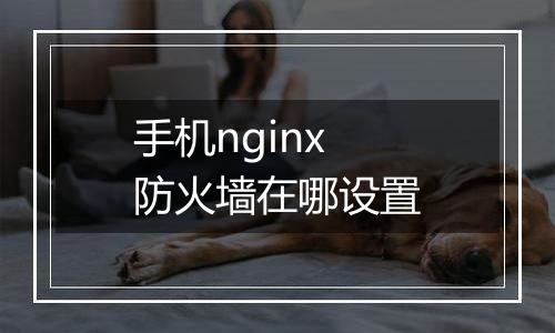 手机nginx防火墙在哪设置