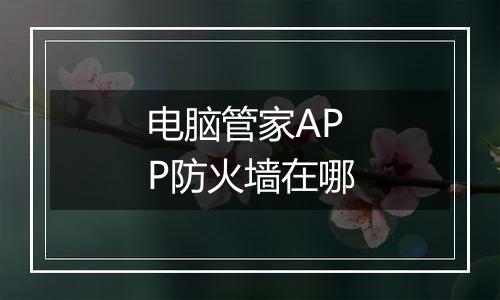 电脑管家APP防火墙在哪
