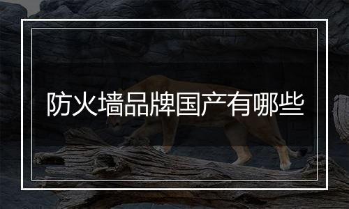 防火墙品牌国产有哪些