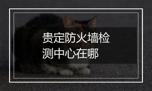 贵定防火墙检测中心在哪