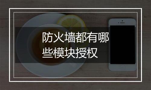 防火墙都有哪些模块授权