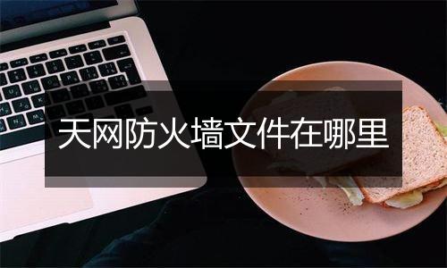 天网防火墙文件在哪里