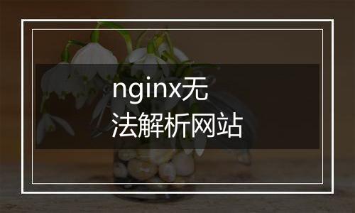 nginx无法解析网站
