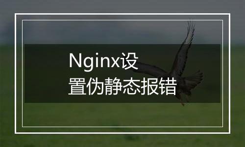 Nginx设置伪静态报错