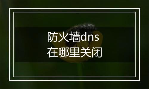 防火墙dns在哪里关闭
