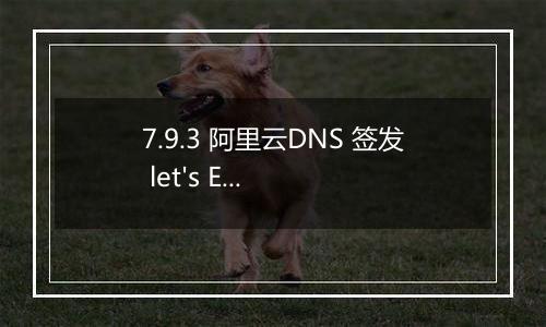 7.9.3 阿里云DNS 签发 let's Encrypt 证书失败