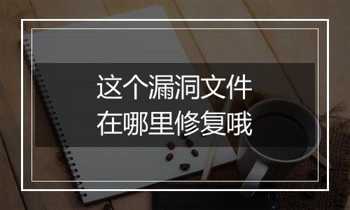 这个漏洞文件在哪里修复哦