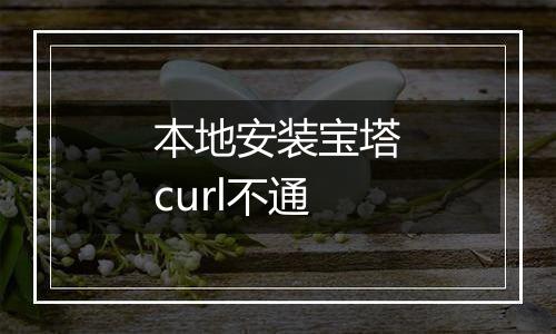 本地安装宝塔curl不通