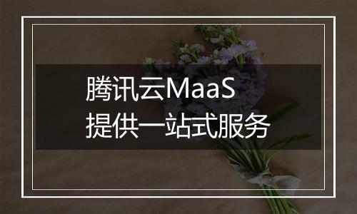腾讯云MaaS提供一站式服务
